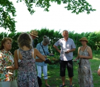 06_2011-06-06_14-07-03